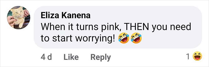 People Come Up With Hilarious Theories After Mysterious Green Slime Oozes From NY Streets