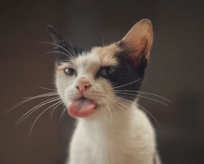 32 “Now-False Facts” That Were Really Taught In Schools, But Did Not Stand The Test Of Time