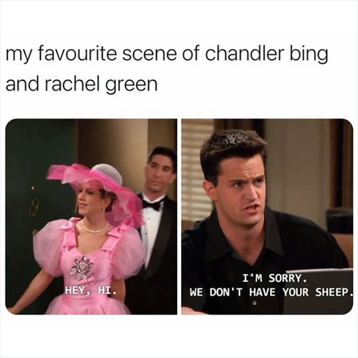 "Funny Friends meme featuring Rachel in a pink dress and Chandler looking confused with caption about not having sheep."
