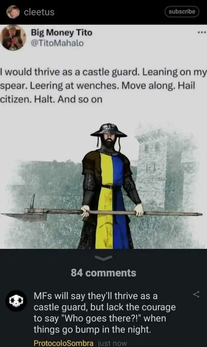 Medieval meme of a castle guard in armor with a spear, humorously pondering life as a sentry.