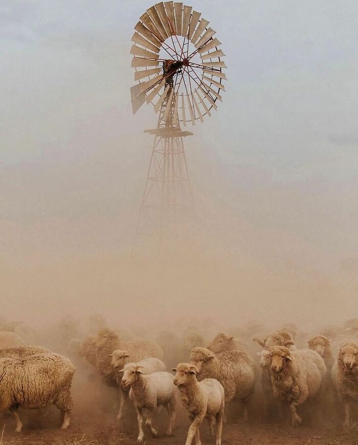 Decisive Moments Magazine Continues To Showcase Fascinating Moments Captured By Street Photographers (50 New Pics)