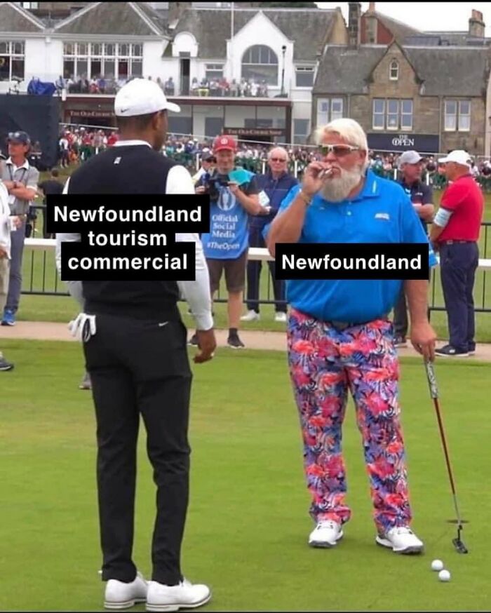 Hilarious-Canadian-Memes