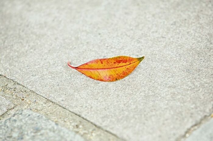 Decisive Moments Magazine Continues To Showcase Fascinating Moments Captured By Street Photographers (50 New Pics)