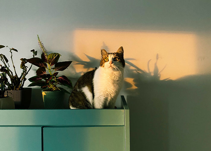 “‘Bite’ Them, Run Away”: 30 Weird Things People Could Only Admit To Doing Anonymously