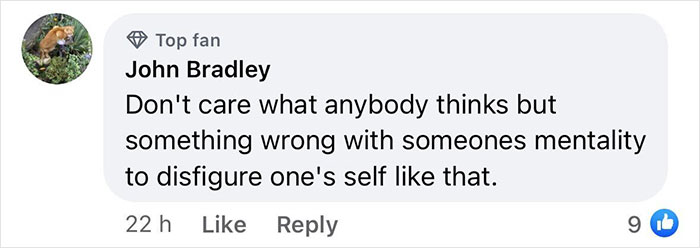 Comment criticizing a woman's inked look after 10 years of body modification.