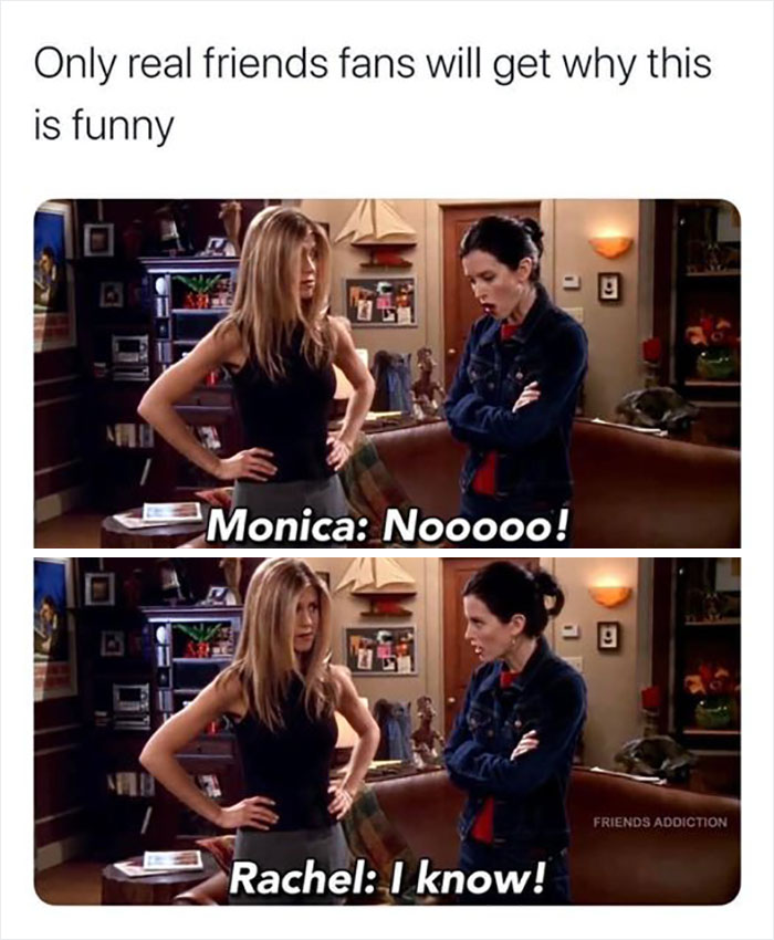 "Funny Friends meme with characters Monica and Rachel exchanging humorous dialogue in an apartment setting."