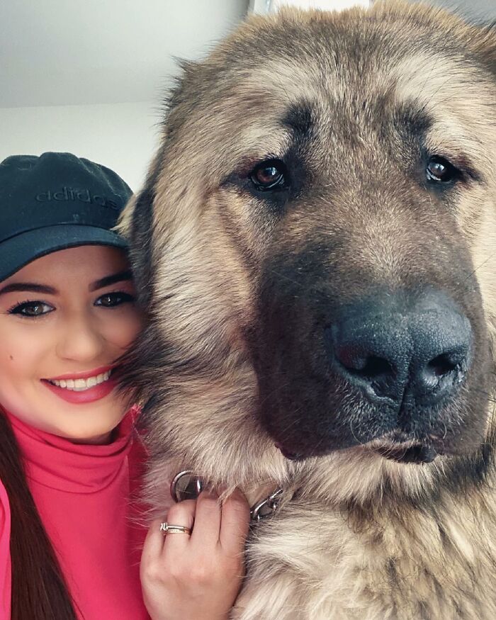 This Family From Boston Shares What It’s Like To Live With A Rare Bear-Like Guardian Dog This Family From Boston Shares What It’s Like To Live With A Rare Bear-Like Guardian Dog