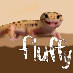 The Amazing Fluffernaut