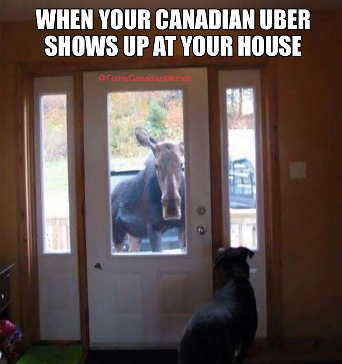 Hilarious-Canadian-Memes