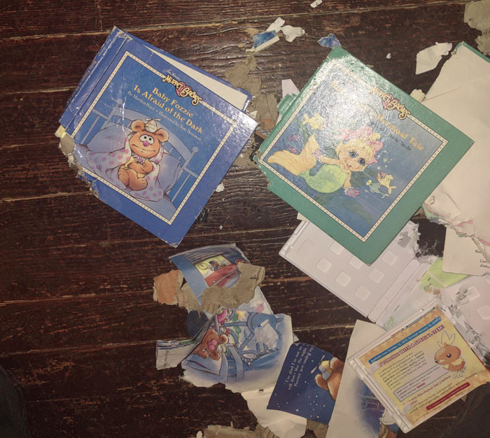 Dog Destroyed Two Of My Childhood Books That Have Been With Me Through 30 Moves
