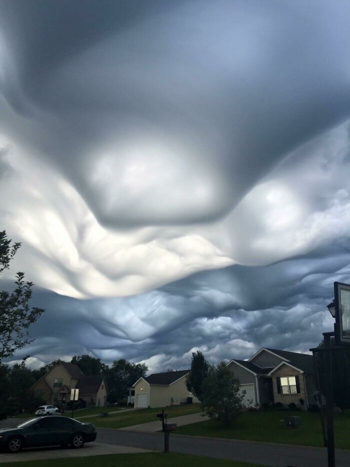 Eerie Surrealism In Nature