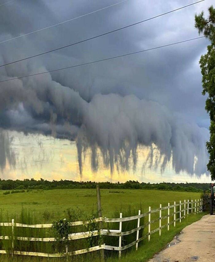 Eerie Surrealism In Nature