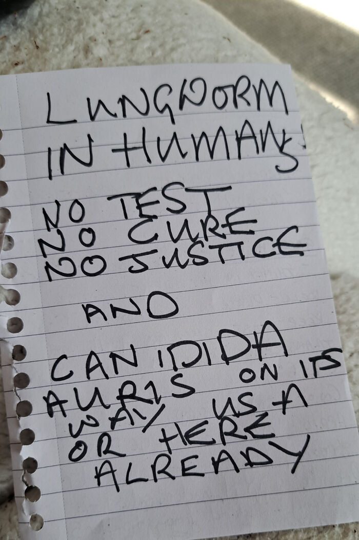 Neighbour Put This Under My Door This Morning