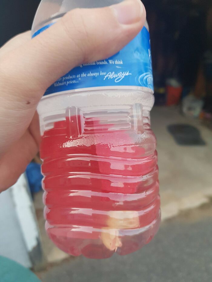 Someone Left Two Bottles Of Water With Red Tissue Paper And A Cashew In Them On My Doorstep