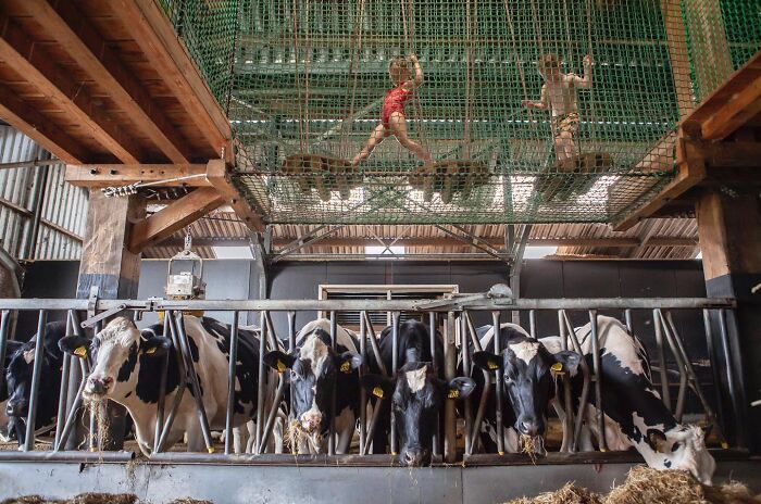 Meet Julie Hrudova's Incredible Street Photography