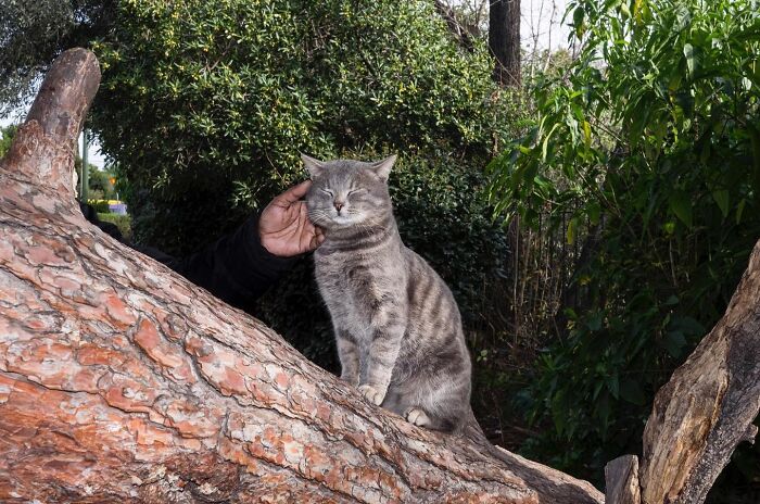 30 Funny Accidental Images That Were Taken At The Right Time And Place By This Street Photographer