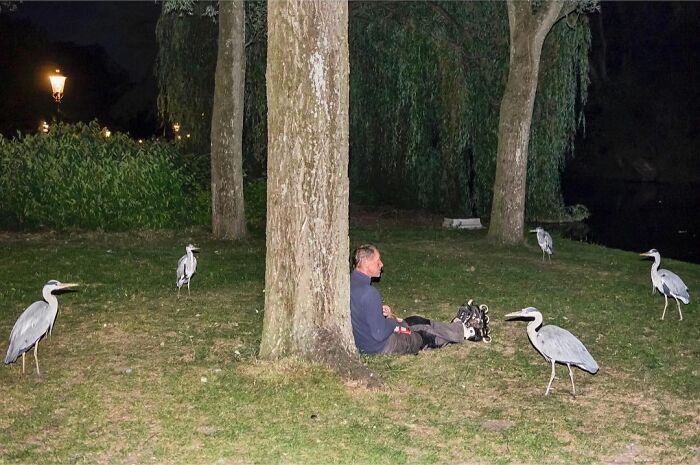 30 Funny Accidental Images That Were Taken At The Right Time And Place By This Street Photographer