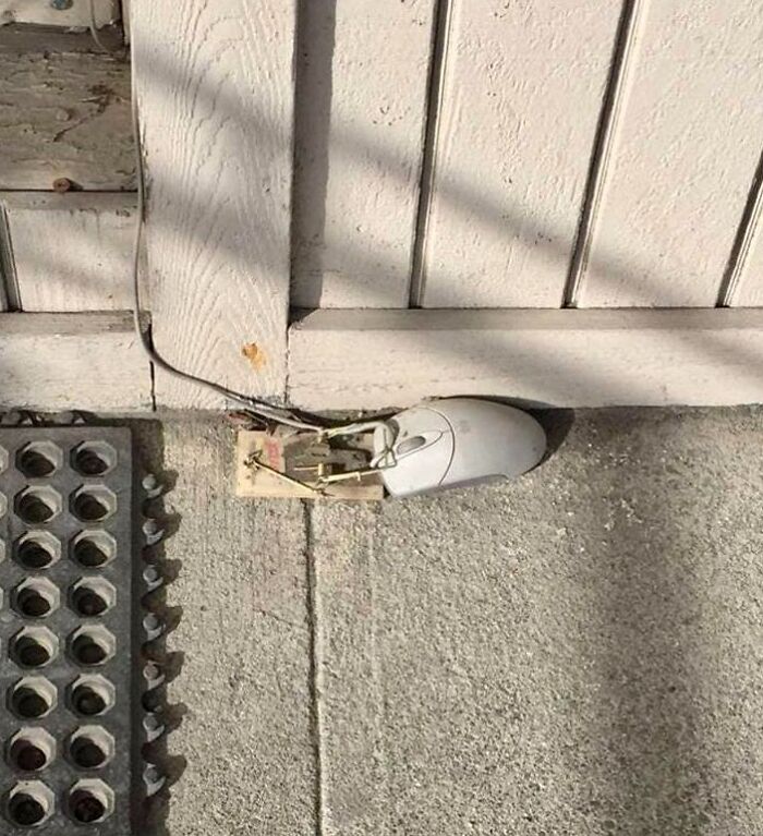 Random-Things-Weird-Places