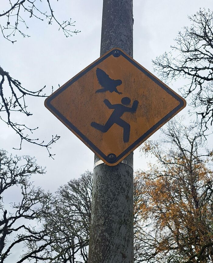 I Wish This Sign Had "Aaaaaaaa!" Caption