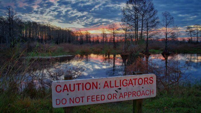 It's A Little Cold But I Still Kept An Eye Open