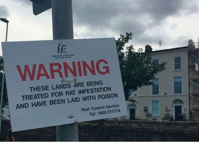 This One Had My Wife Rattled