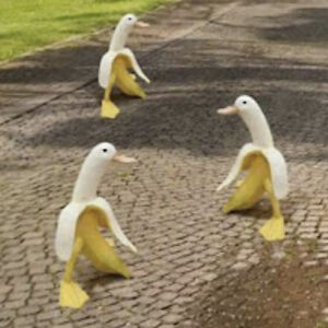 Smart Fridge Gaming™️