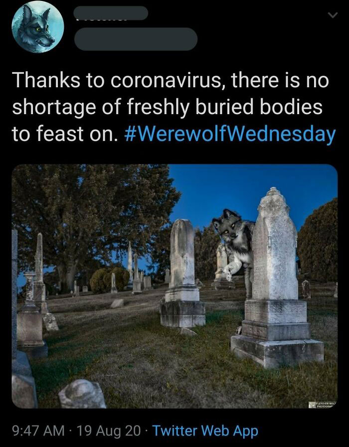 The Worst Tweet Of 2020, Everyone