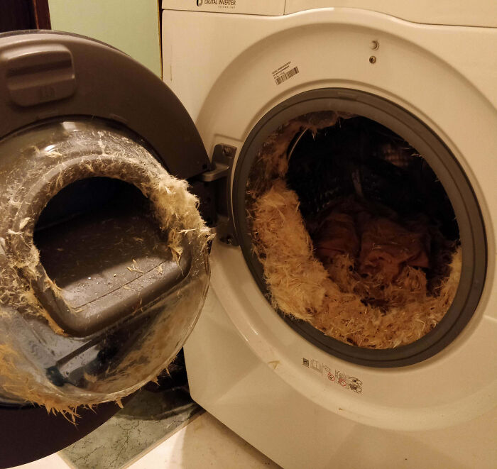 Machine-Washing A Feather Pillow