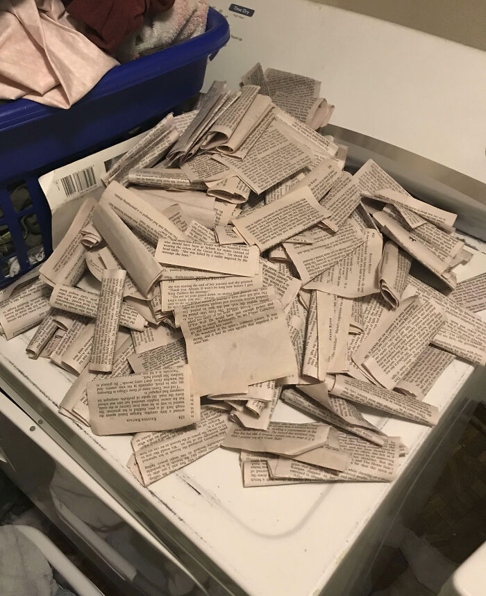 Put My Blankets In The Dryer Without Realizing My Book Was On My Bed. Now I Have To Buy A New Copy Of My Book