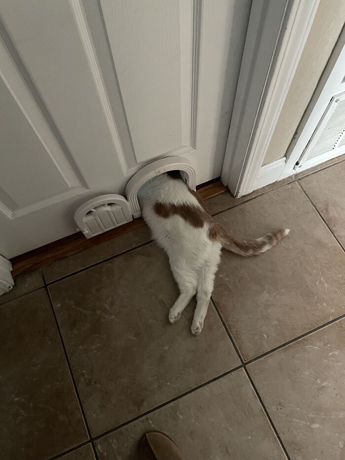 Strange Spot For A Nap But Alright