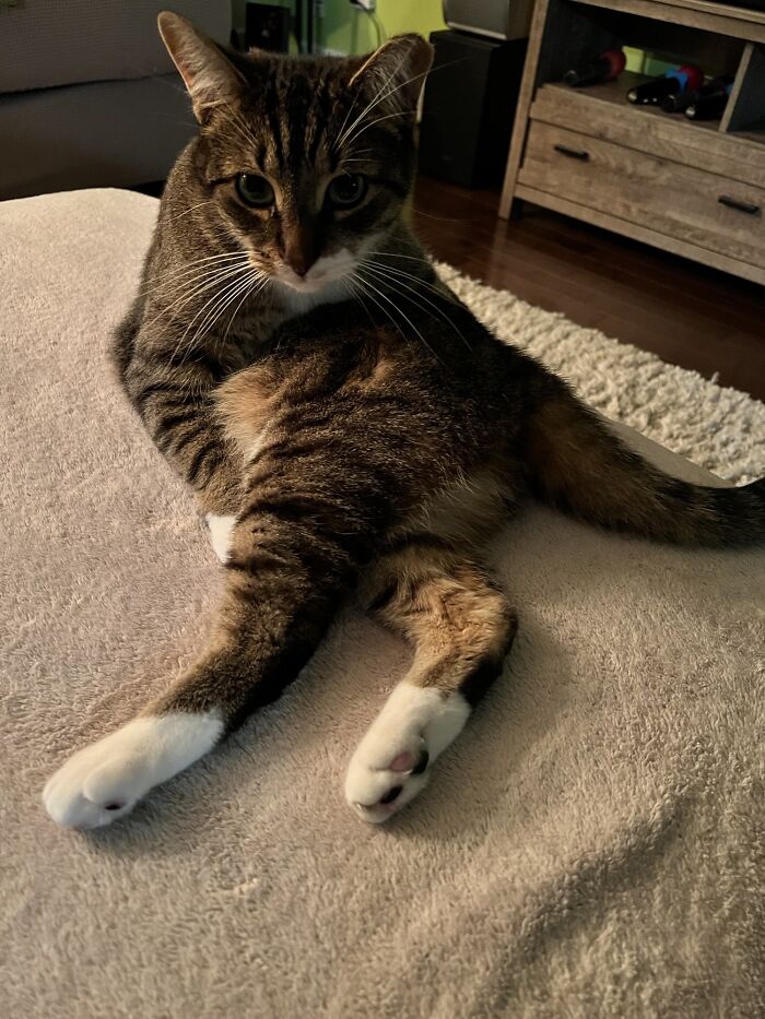 Mifflin What Are You Doing Buddy