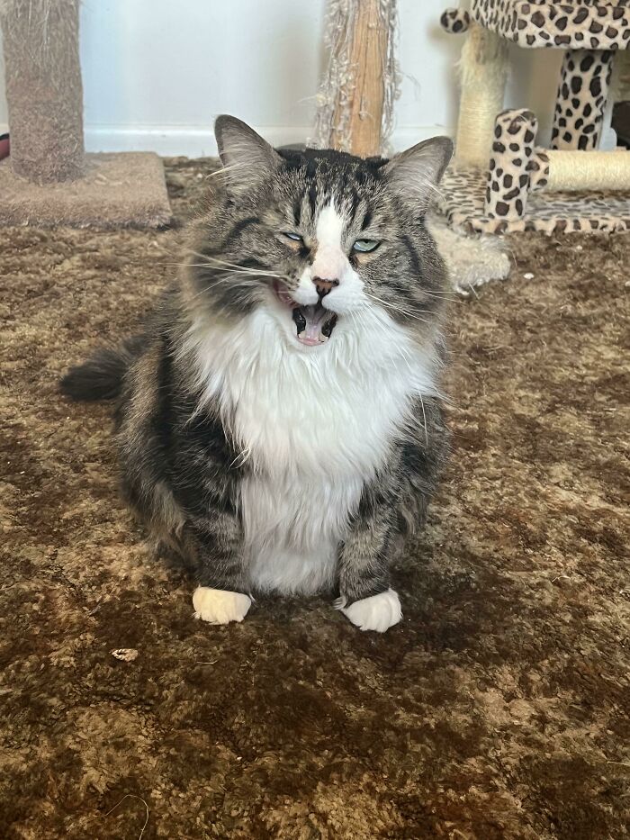 Dean poniendo caras raras