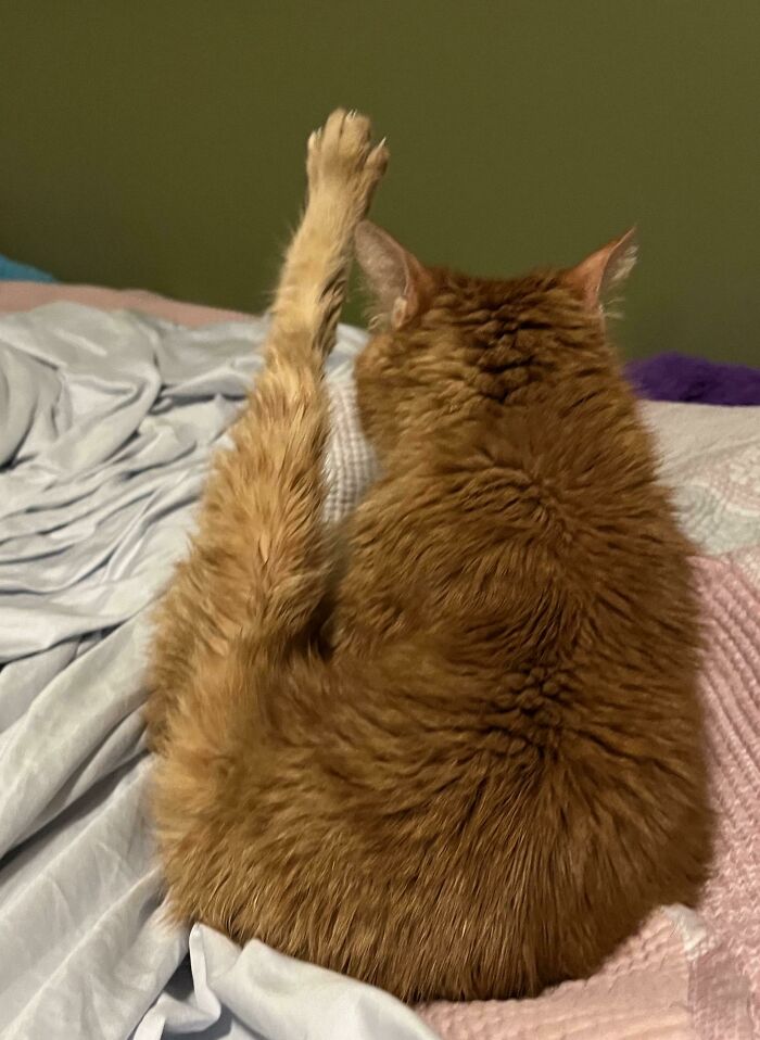 No se estaba lavando, simplemente estaba así