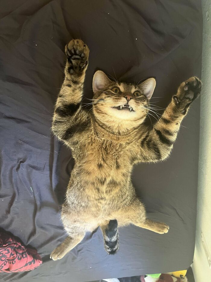 Beetlejuice es especial