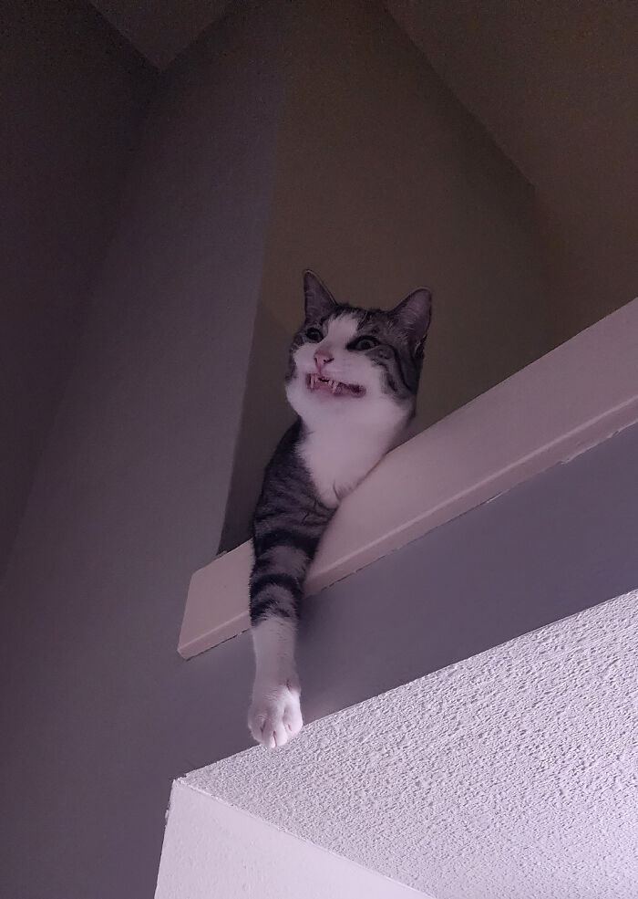 Da miedo ver esto mientras te bañas