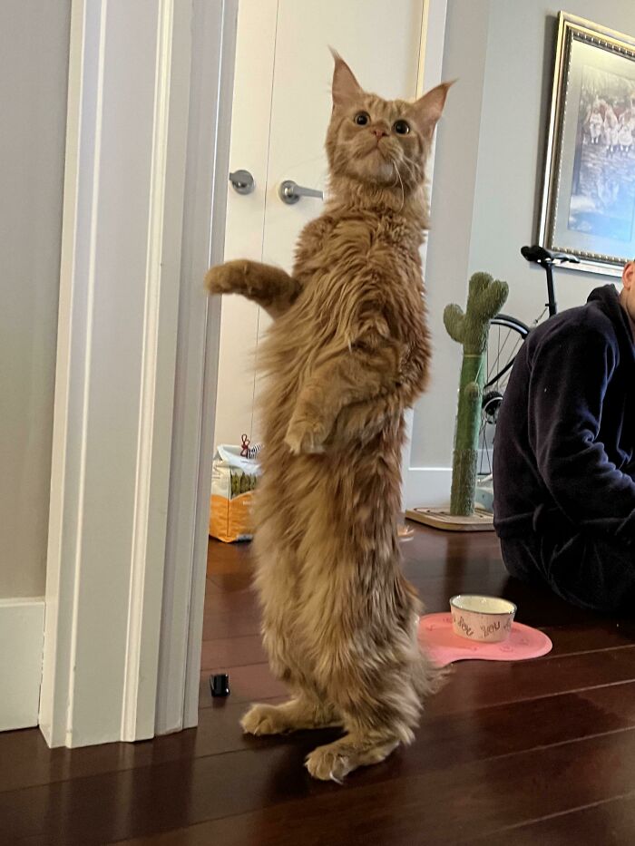 She Looks Like A Mascot!