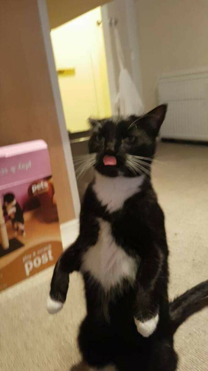 I Think He Might Be Broken