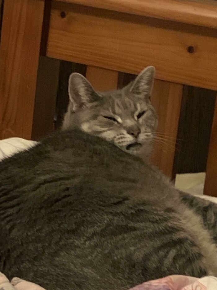 A Moo no le gustó que me despertara para ir al baño