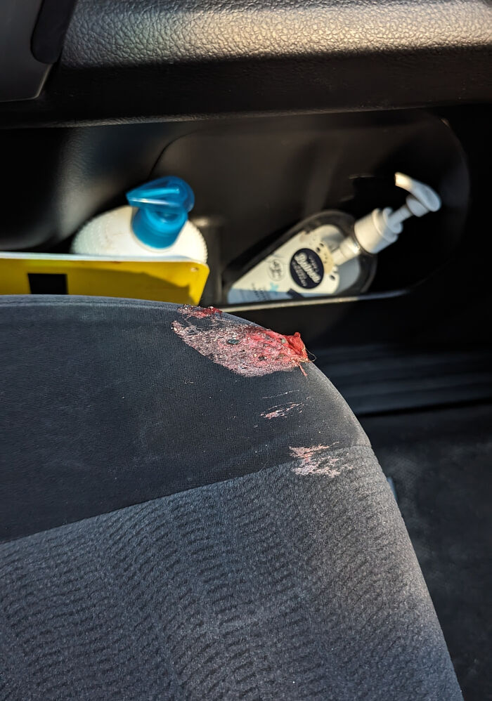 My Daughter Stepped In Chewing Gum And Then Sat With Her Shoes On The Car Seat