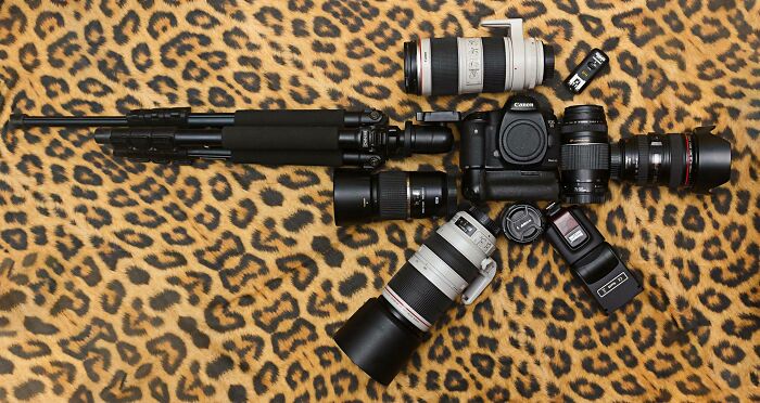 This Is What I Use To Shoot Wildlife