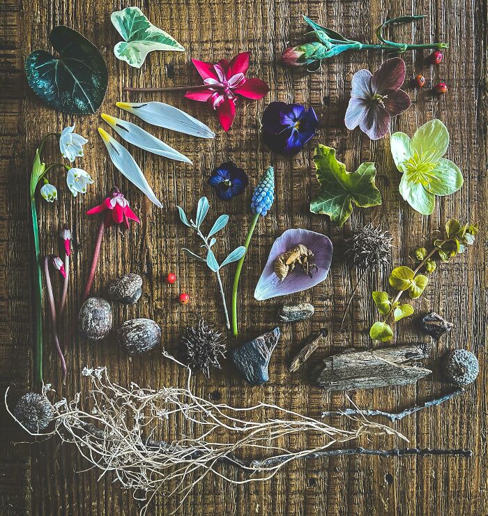 Imperfect Knolling? I Just Like Arranging Neat Organic Things From My Yard!