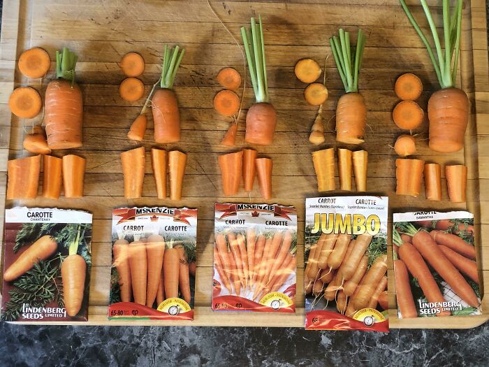 Posted This In R/Gardening And Was Referred Here. Til About Knolling