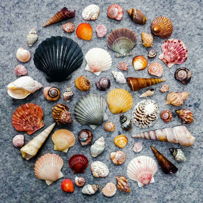 We're Living By A Very Remote Estuary/Beach And This A Knoll Of Our Recent Evening Walks At Low Tide