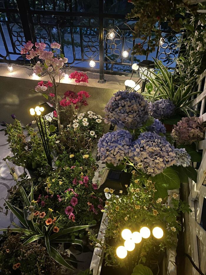 My Dreamy Flower Garden On The Balcony