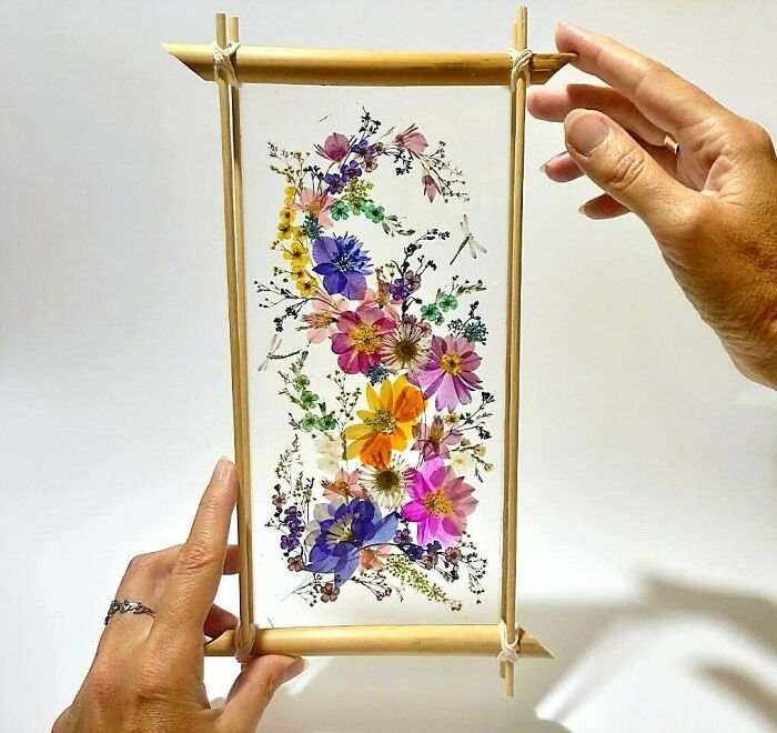 I Make Pictures From Dry Pressed Flowers