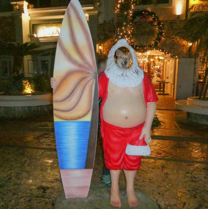 Surfing Santa