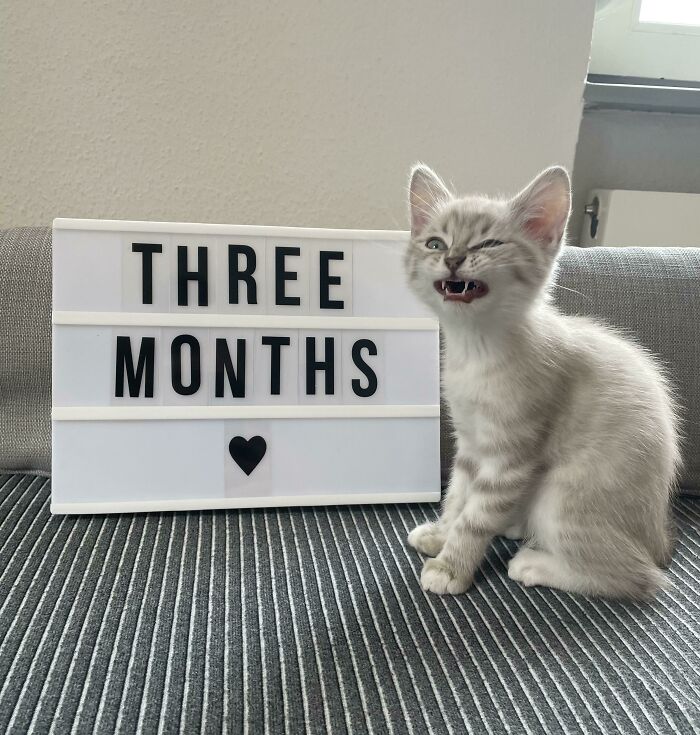 Only Three Months Old And Already A Master Of Scrunge. I’m So Proud 