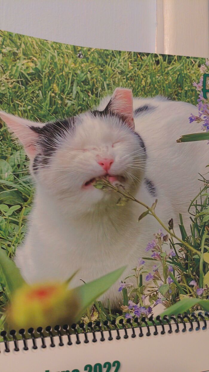 Sil Got Me A Calendar. Here Is June