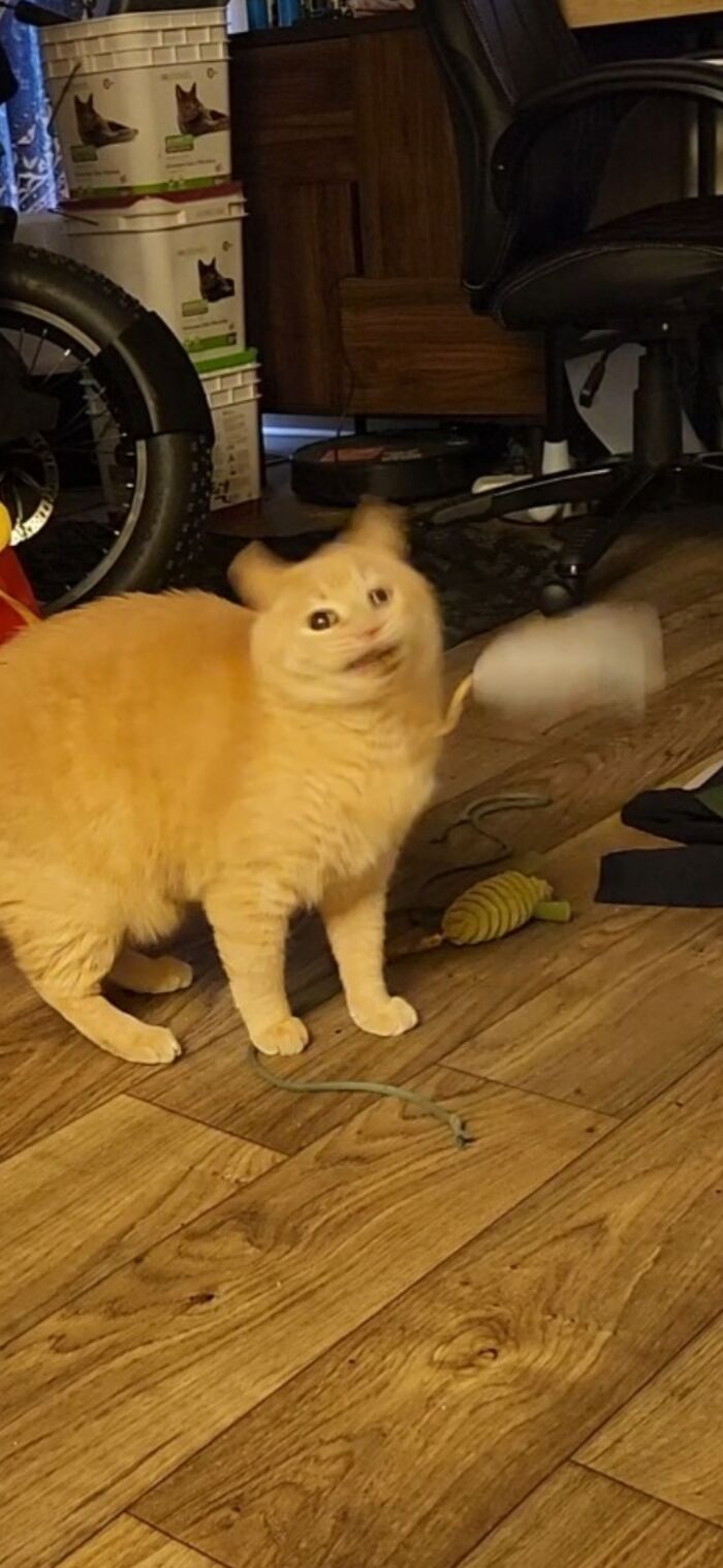 Do Action Shots Count?