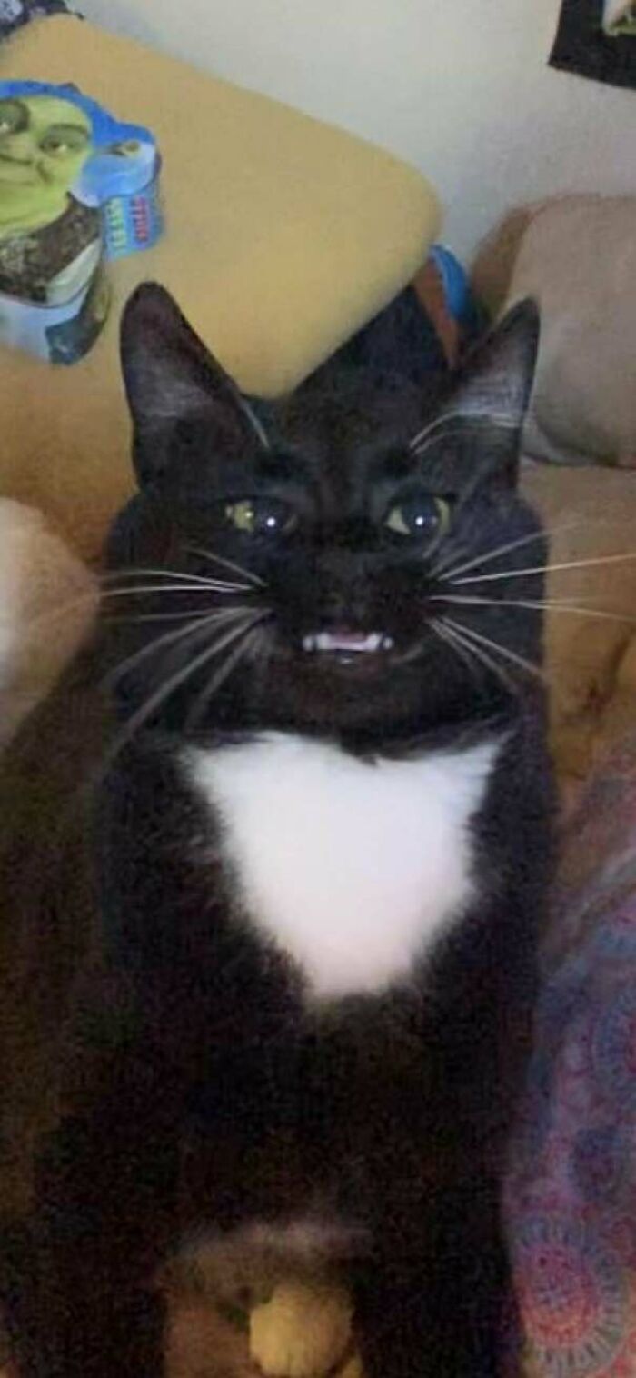 Does This Count 😭